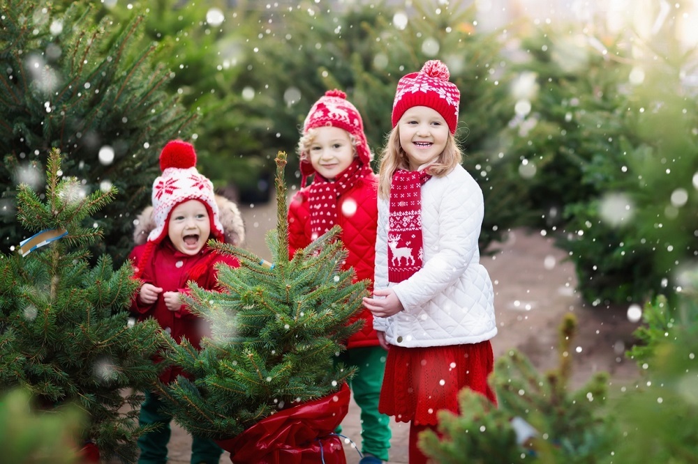 baby christmas photography ideas